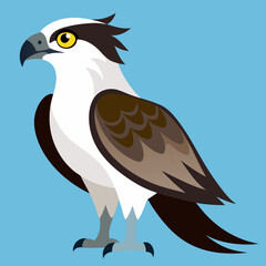 eagle vector illustration