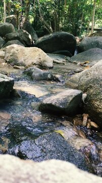 Close-up shot of a stream stream with dry leaves in it