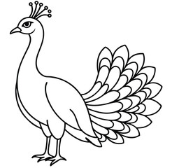 Cute cartoon peacock vector illustration, a beautiful bird with colorful feathers