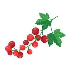  Red currant icon. Isolated illustration of red currant on white background. Berries illustration. Fresh and juisy berries.  Colourful design and decoration element. Flat design. Vector illustration.