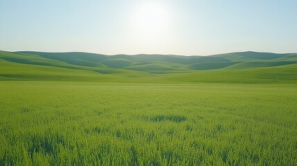 Obraz premium A landscape photo depicts a vast green valley under a clear sky.