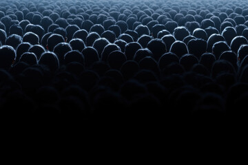 Obraz premium A crowd of people are standing in a dark room