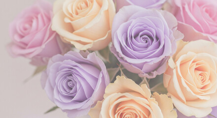Fototapeta premium A bouquet of pastel roses with delicate petals, photographed with soft focus, capturing their romantic beauty