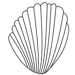 Cute cartoon hand drawn vector Sea shell coloring page.