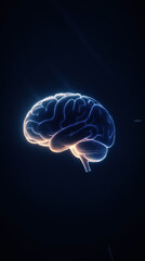 Abstract Glowing Human Brain Concept, Soft Light Radiating From Within, Subtle Gradients Of Light Blue, Floating In Dark Space, Modern And Sleek Design