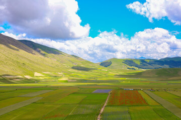I colori spettacolari della fioritura dell'altipiano di Castelluccio di Norcia nel Parco Nazionale dei Monti Sibillini, Umbria, Italia