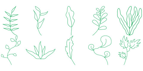Abstract Plants Line 