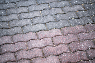 Pavement and Sidewalk Texture