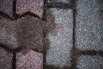 Pavement and Sidewalk Texture