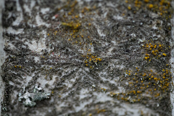 Pavement and Sidewalk Texture