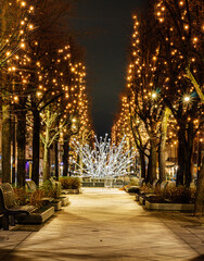 Night Street and Fountain