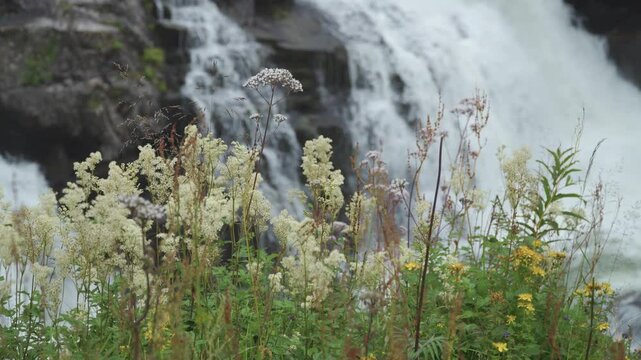 Explore the stunning beauty of Voringfossen waterfall in Norway's wilderness