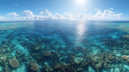Fototapeta premium Tropical ocean reef aerial panorama, sunny day