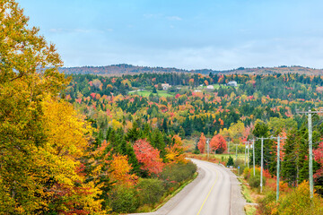 A view of autumn foliage down the road in the Bay of Fundy, New Brunswick in the fall