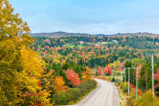 A view of autumn foliage down the road in the Bay of Fundy, New Brunswick in the fall