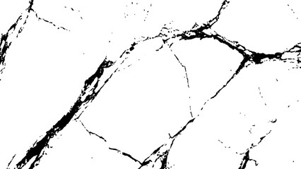 Crack texture lines isolated on white background. Black cracks on white. Grunge texture. Elegant white marble texture with black veins. 