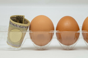 Eggs in a carton with money beside them representing business inflation