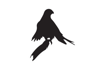 Bird with Vector (12).eps