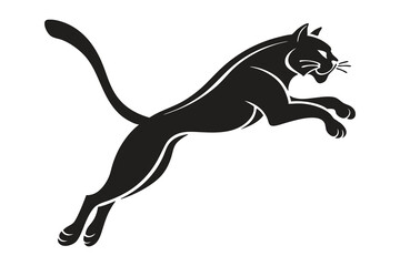 cat on a white background