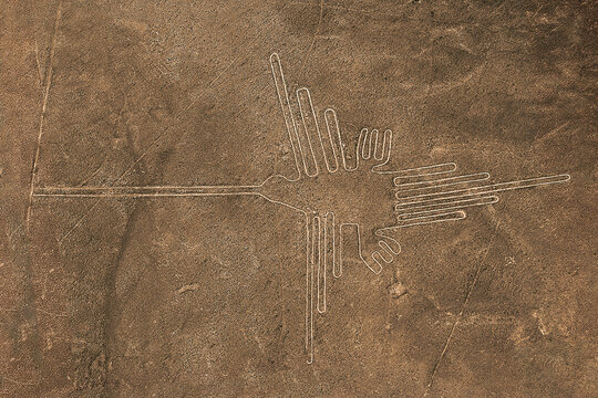 The hummingbird Nazca lines is one of the most popular geoglyphs of the Nazca lines. 