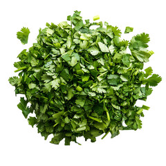 Obraz premium Freshly Chopped Cilantro Pile on White Background, Culinary Ingredient