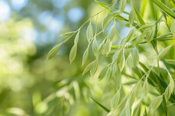 Fototapeta premium Green plant leaves swaying gently in the sunlight during a warm afternoon in a vibrant natural setting