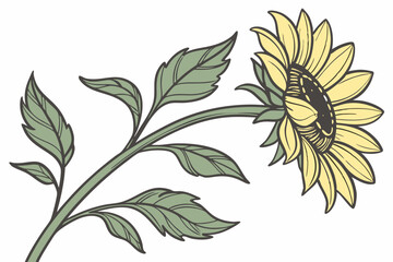 laurel wreath isolated on white