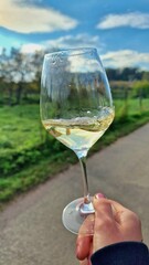 glass of wine in a wine cellar in moravia vineyards
