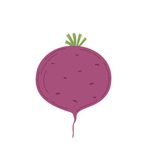 Fresh whole beetroot vegetable, hand drawn simple doodle vector illustration, healthy life style organic diet, food concept, flat style image for menu, recipe design