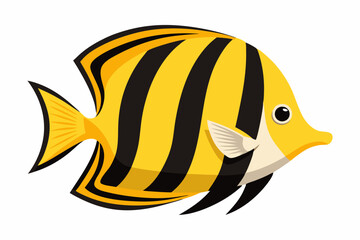 fish on a black background