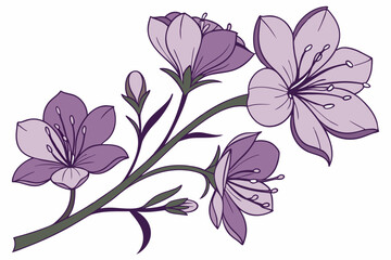 vector illustration of pink lily