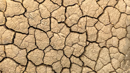 Foto op Canvas Cracked Earth Texture: An abstract texture shot of parched, cracked earth in a desert environment. The image showcases the severe drought conditions that can impact arid regions around the globe.   © Stock4u2024 