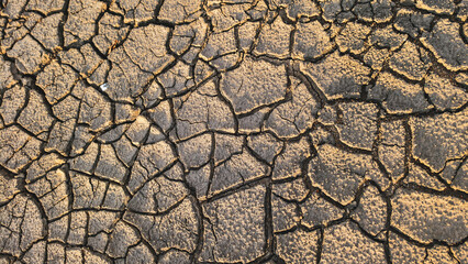 Cracked Earth Texture: A detailed close-up of arid, cracked earth, revealing a complex network of fissures and textures in shades of brown and gold.  The image evokes a sense of dryness, drought.
