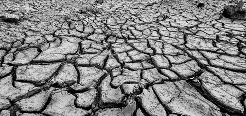 Cracked Earth: A stark black and white image of a cracked earth surface, the intricate network of...
