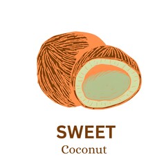 sweet  coconut  illustration 
