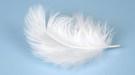 Obraz premium Single white feather on light blue background; softness, lightness, purity concept; website or print design
