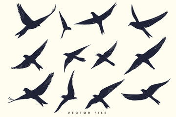 Fototapeta premium Editable Vector Illustration Set of Brid