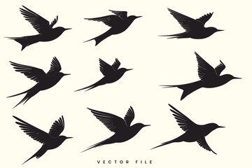 Fototapeta premium Editable Vector Illustration Set of Brid