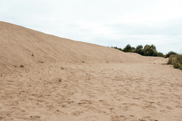 sand dunes in the desert