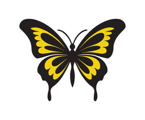 color butterfly design icon symbol 
