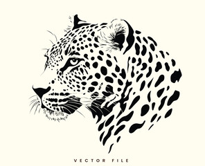 Leopard on white background with spots and fierce expression