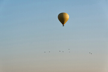 Hot air balloon and flock of birds in the sky