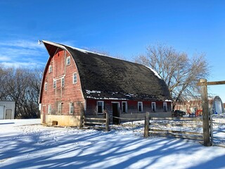 An old gothic shaped barn currently sheltering some horses