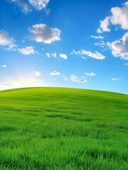 Fototapeta premium Green grass on the hill with beautiful sky