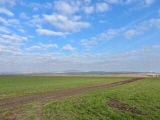 path through a green field and blue sky