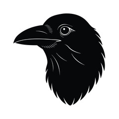 Crow Head Silhouette Vector and Black Crow Bird Head Illustration Design
