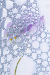 Soap bubbles in water with a flower in the background. Experience between art and science. Abstract composition. 