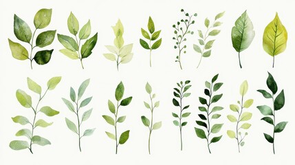 A beautiful assortment of hand-painted green leaves showcasing various shapes and shades, perfect for nature-themed designs and illustrations.