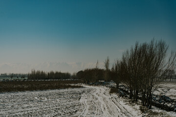 Widoki z okna pociągu Uzbekistan © Katarzyna