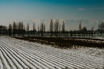 Widoki z okna pociągu Uzbekistan © Katarzyna